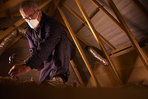 Professional Insulation Contractor in Decorah, IA